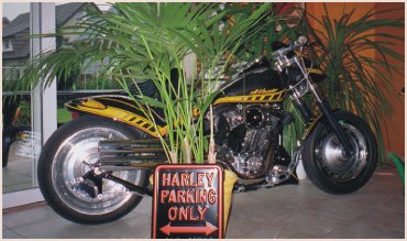 Harley im Winterschlaf